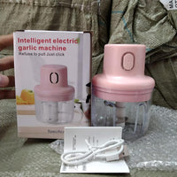 KolorFish Electric Mini Garlic Chopper 250ml Electric Vegetable Chopper